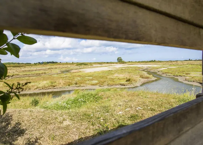 Apartment Cocon Avec Wifi A - Fr-1-788-59 *